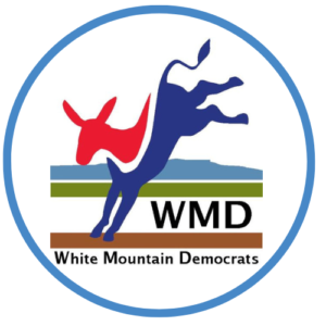 wmd_logo-1722185303
